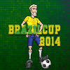Κύπελλο Βραζιλίας 2014